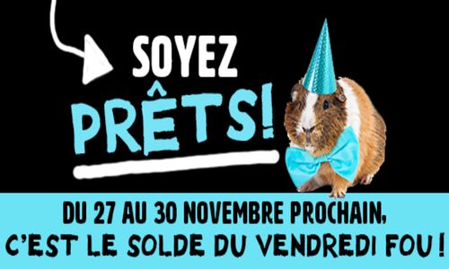 Un vendredi fou, fou, fou! 15% de rabais